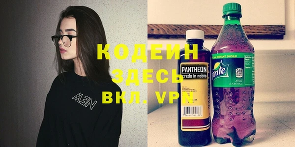 прущий лед Вяземский