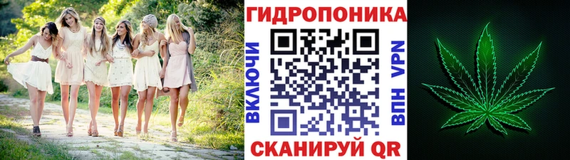 Бошки Шишки индика  цены наркотик  Данилов 